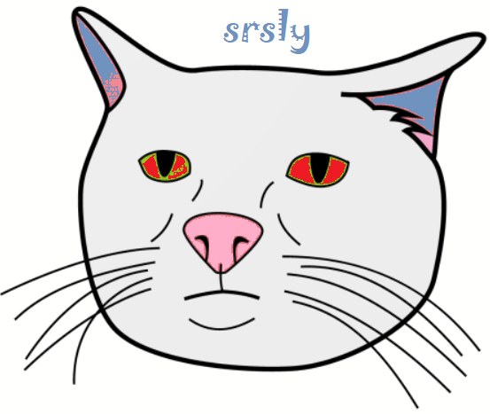srsly cat – Solana Token